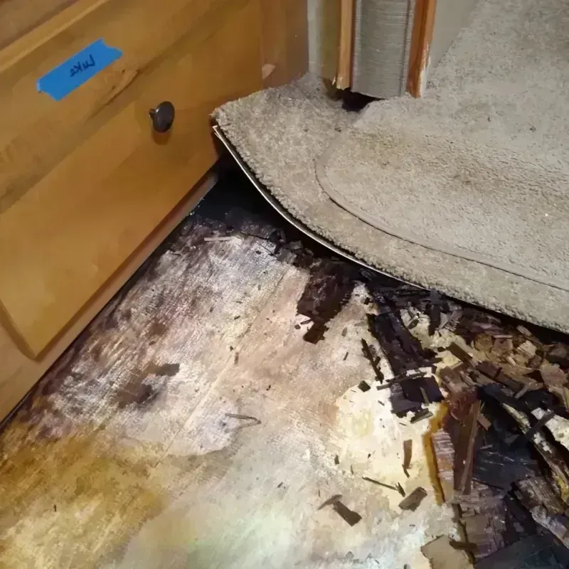 Wood Floor Water Damage in Greenville, PA